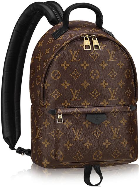 cheap louis vuitton school bags|louis vuitton backpack.